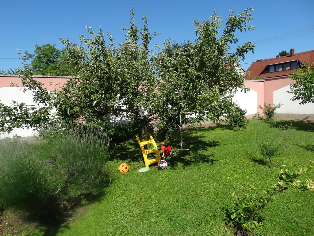 Budai Panzio Székesfehérvár Buitenkant foto