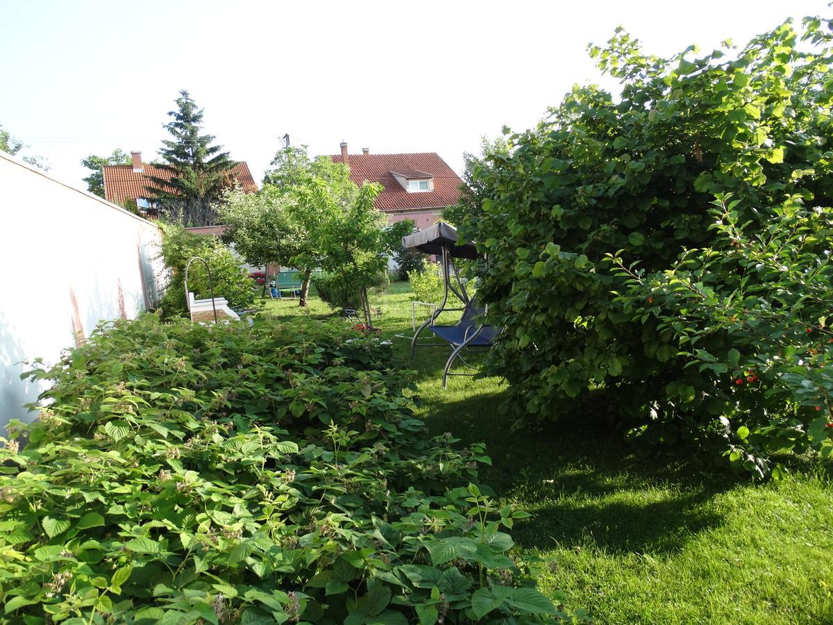Budai Panzio Székesfehérvár Buitenkant foto