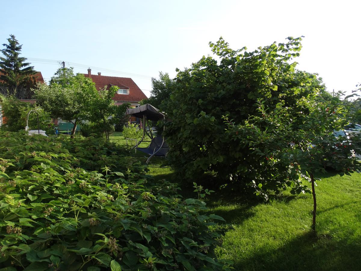 Budai Panzio Székesfehérvár Buitenkant foto